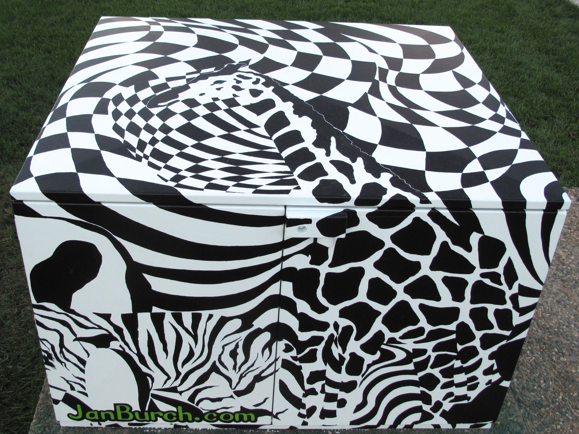 Shock Art 2014 in Longmont, CO