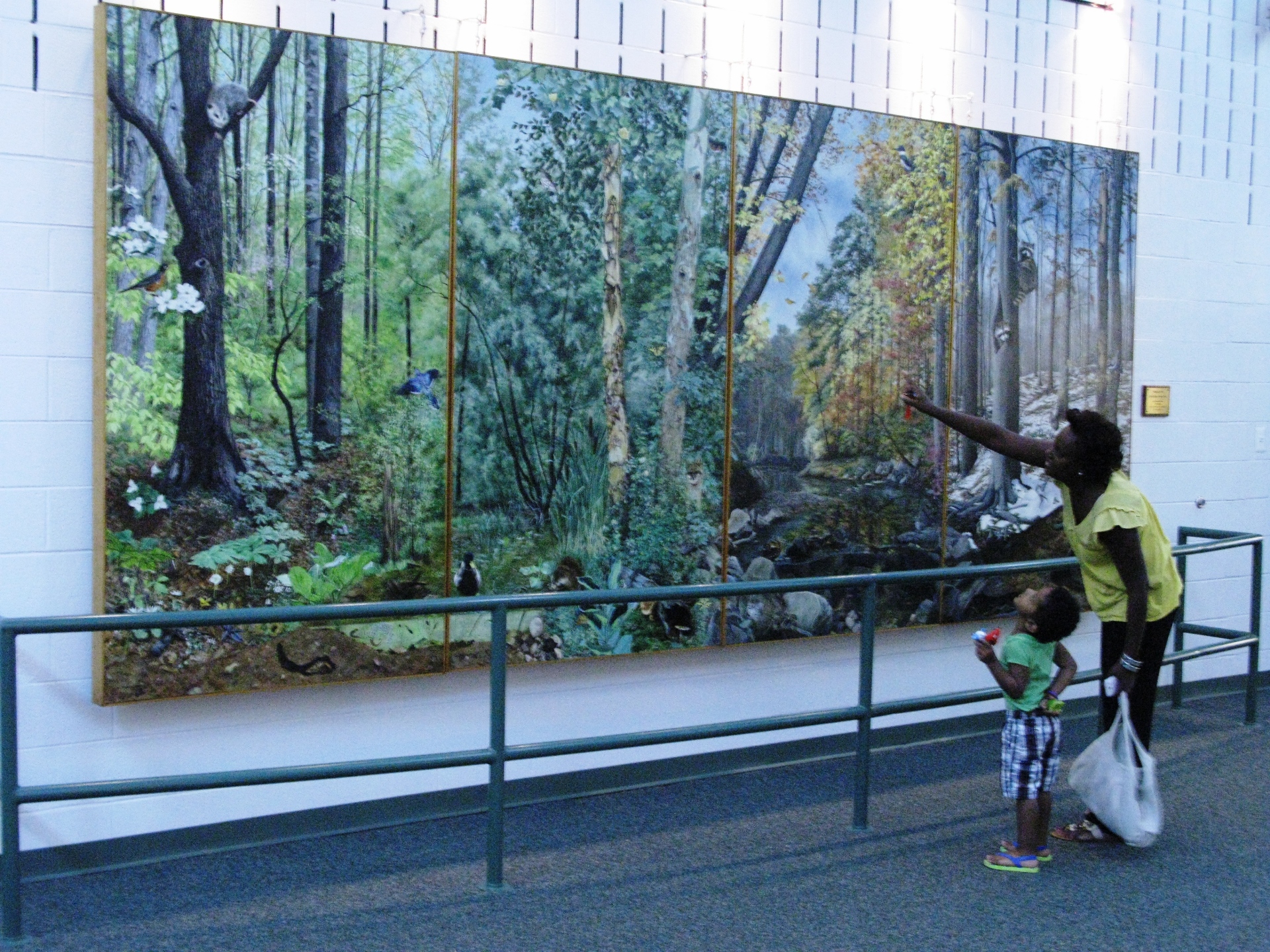 Wildlife of the Dora Kelley Nature Park in Alexandria, VA