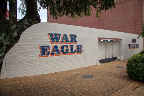 War Eagle Wall in Auburn, AL