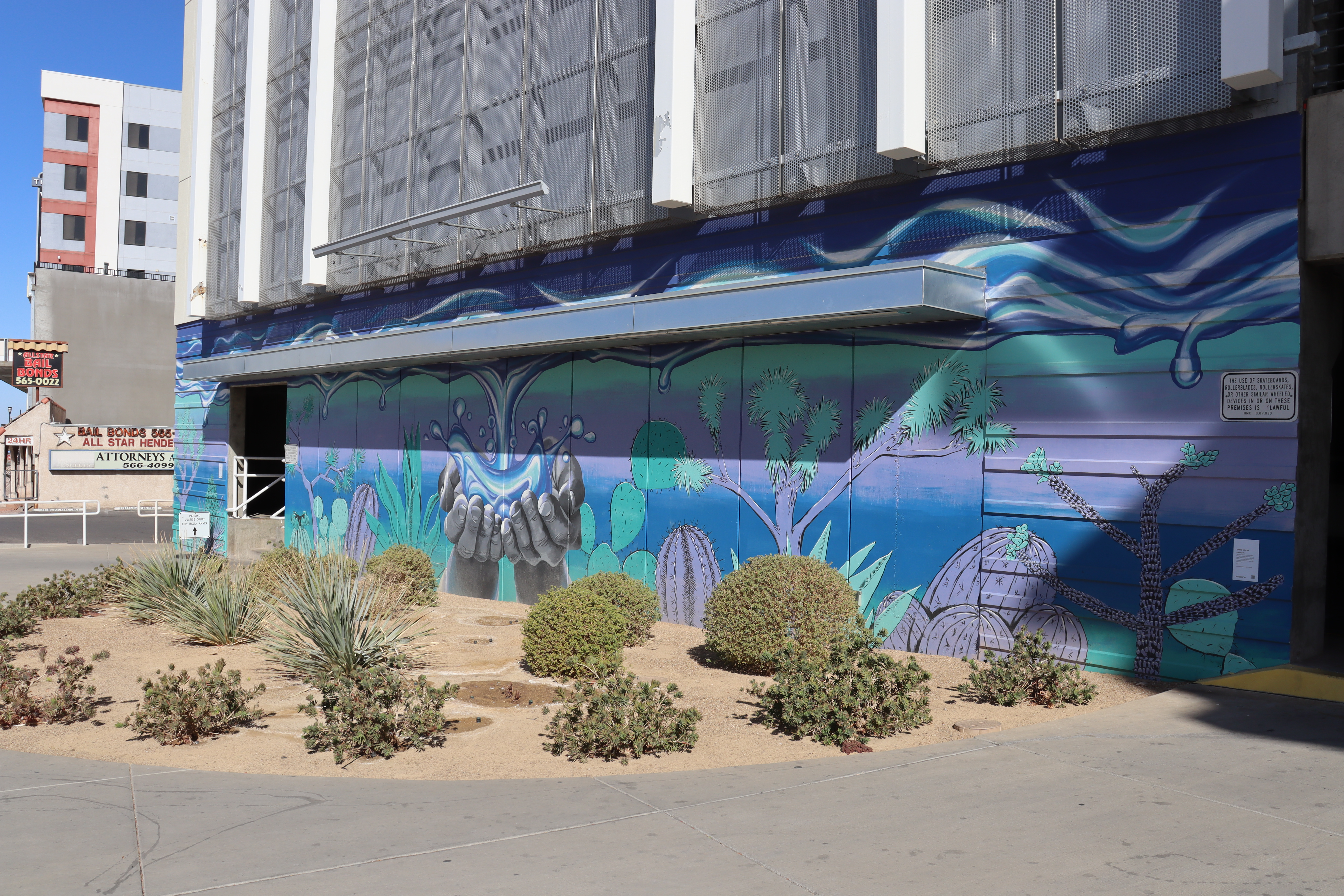Catching Life in Henderson, NV