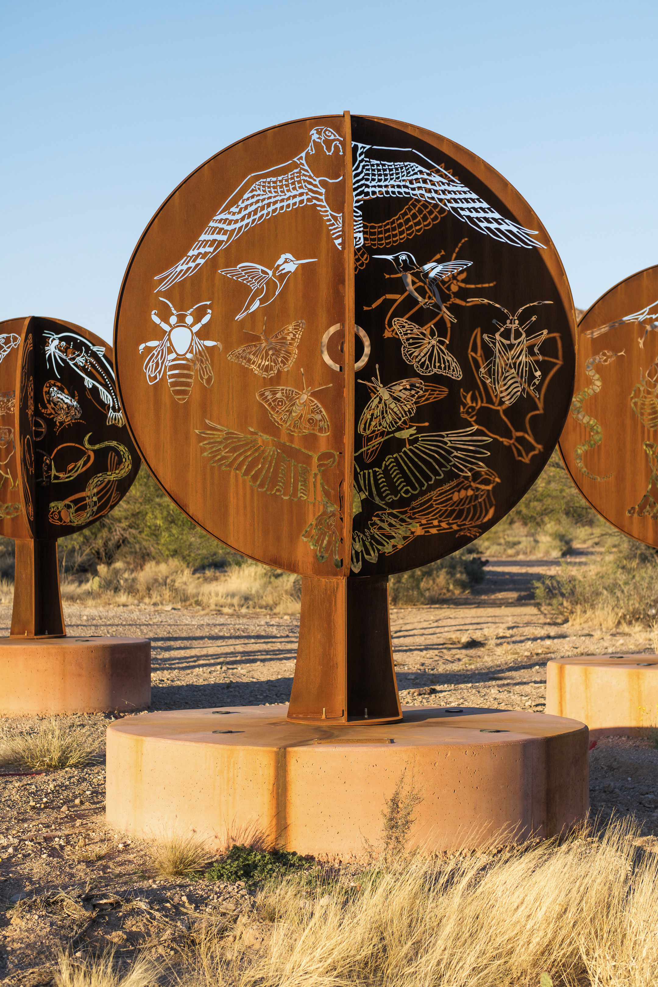 Sonoran Circumvolution in Tucson, AZ