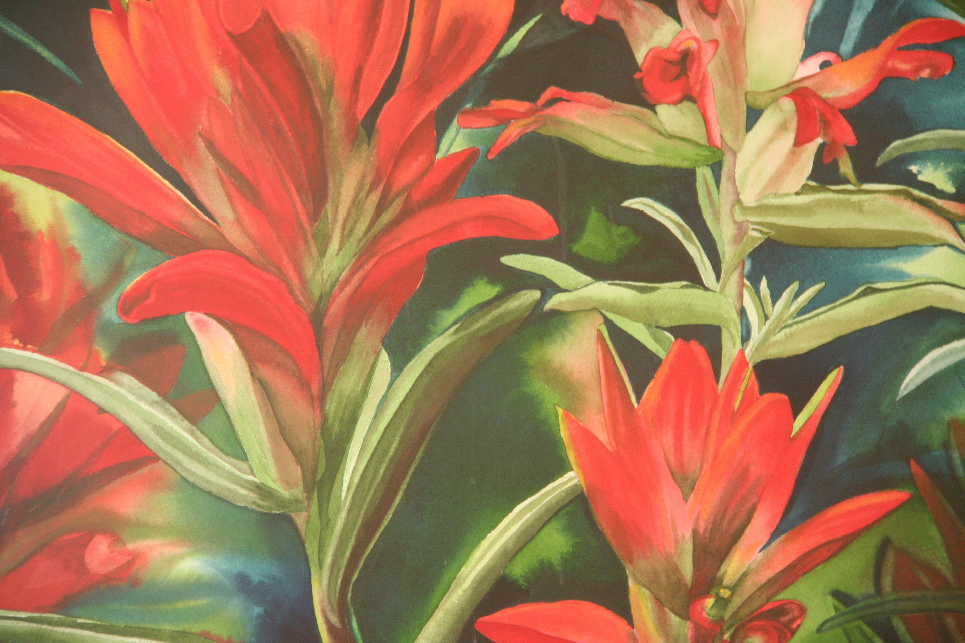 Yucca and Paintbrush in Morrison, CO