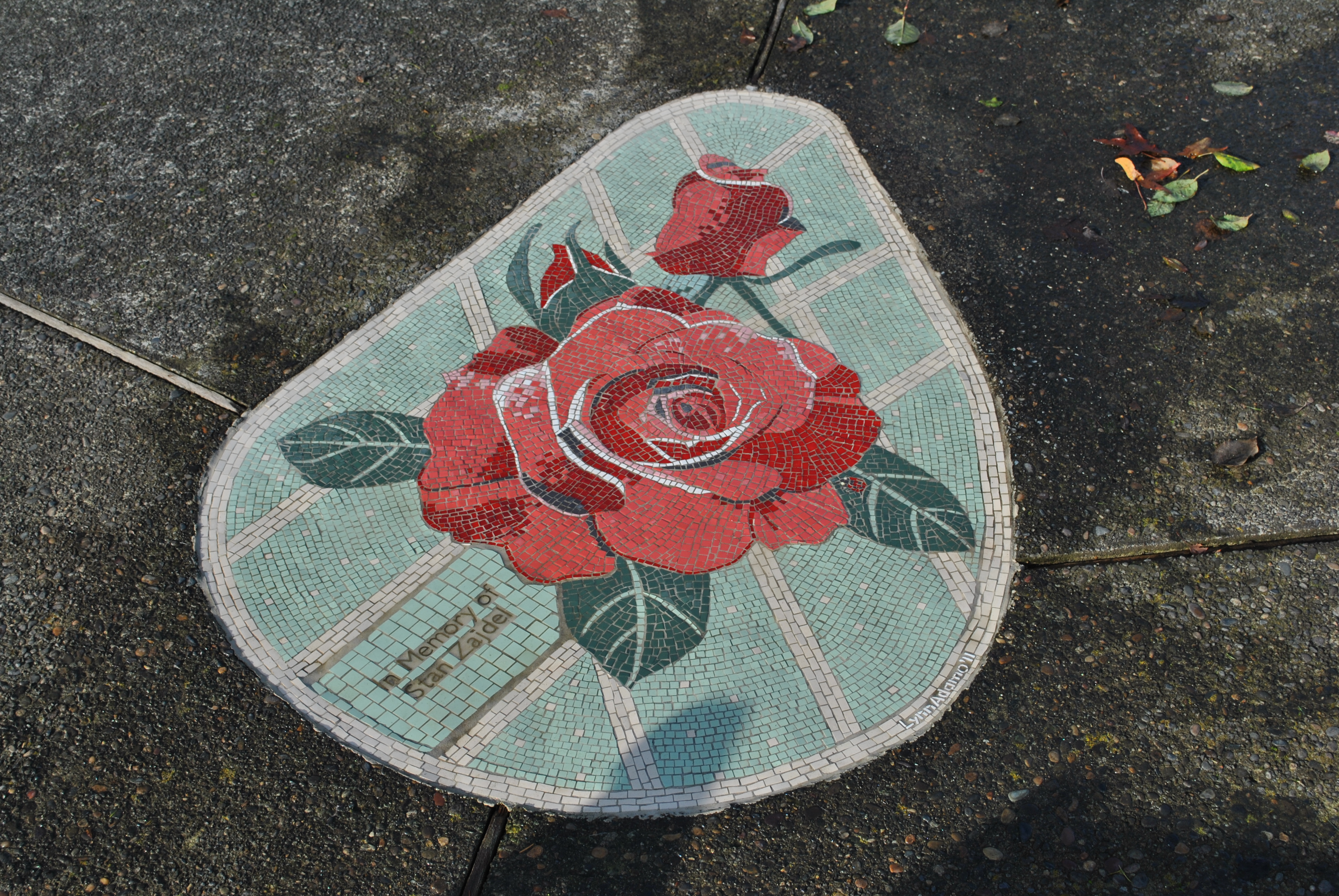 Rose Garden in Hillsboro, OR