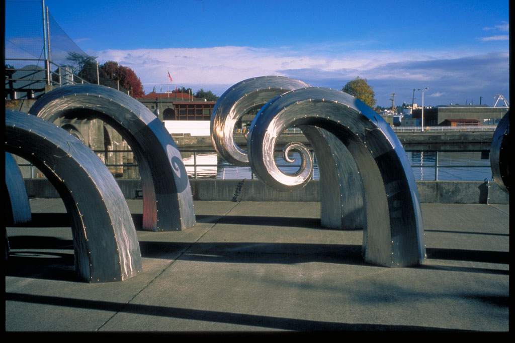 Salmon Waves in Seattle, WA