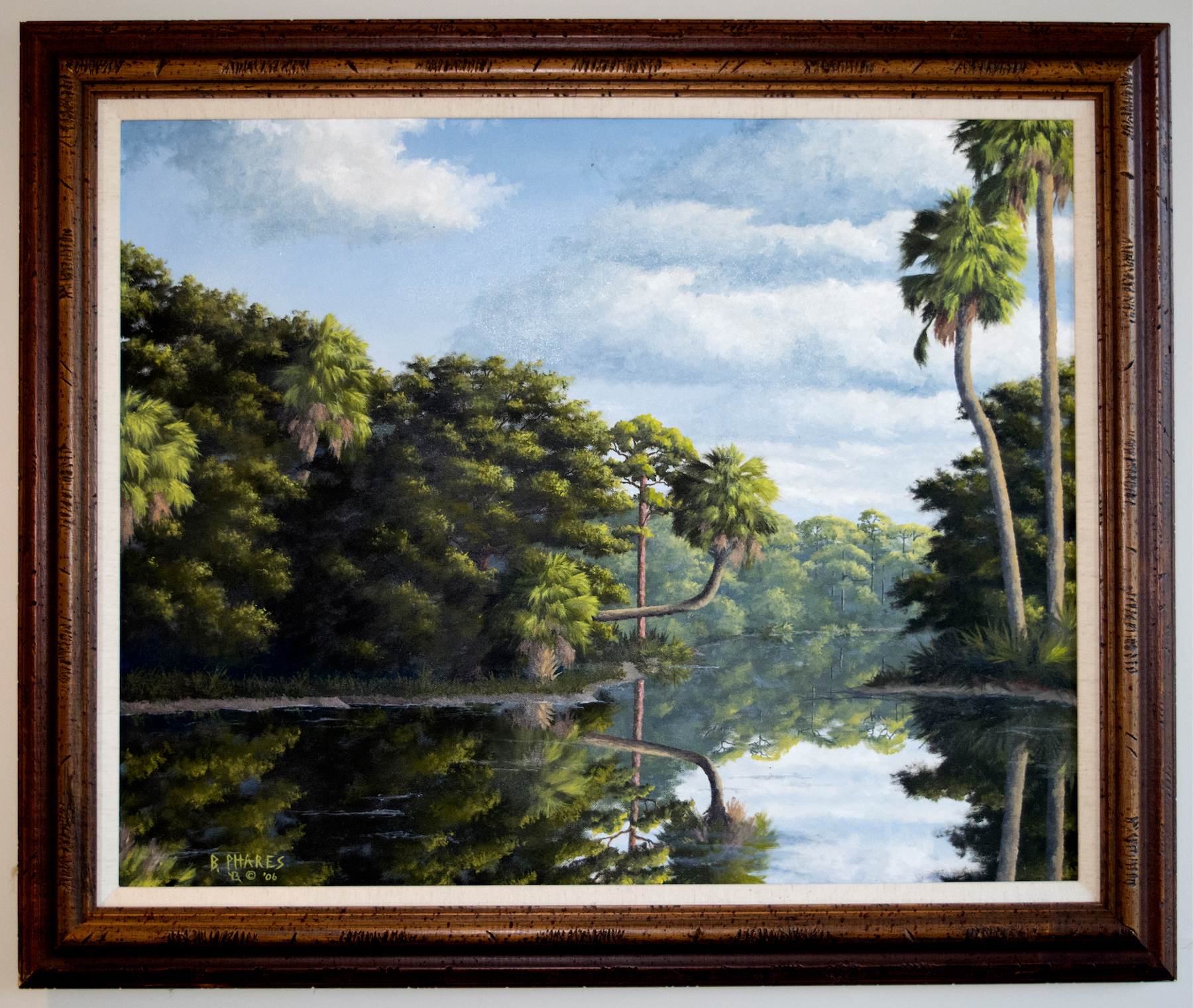 Backwoods River in Gainesville, FL
