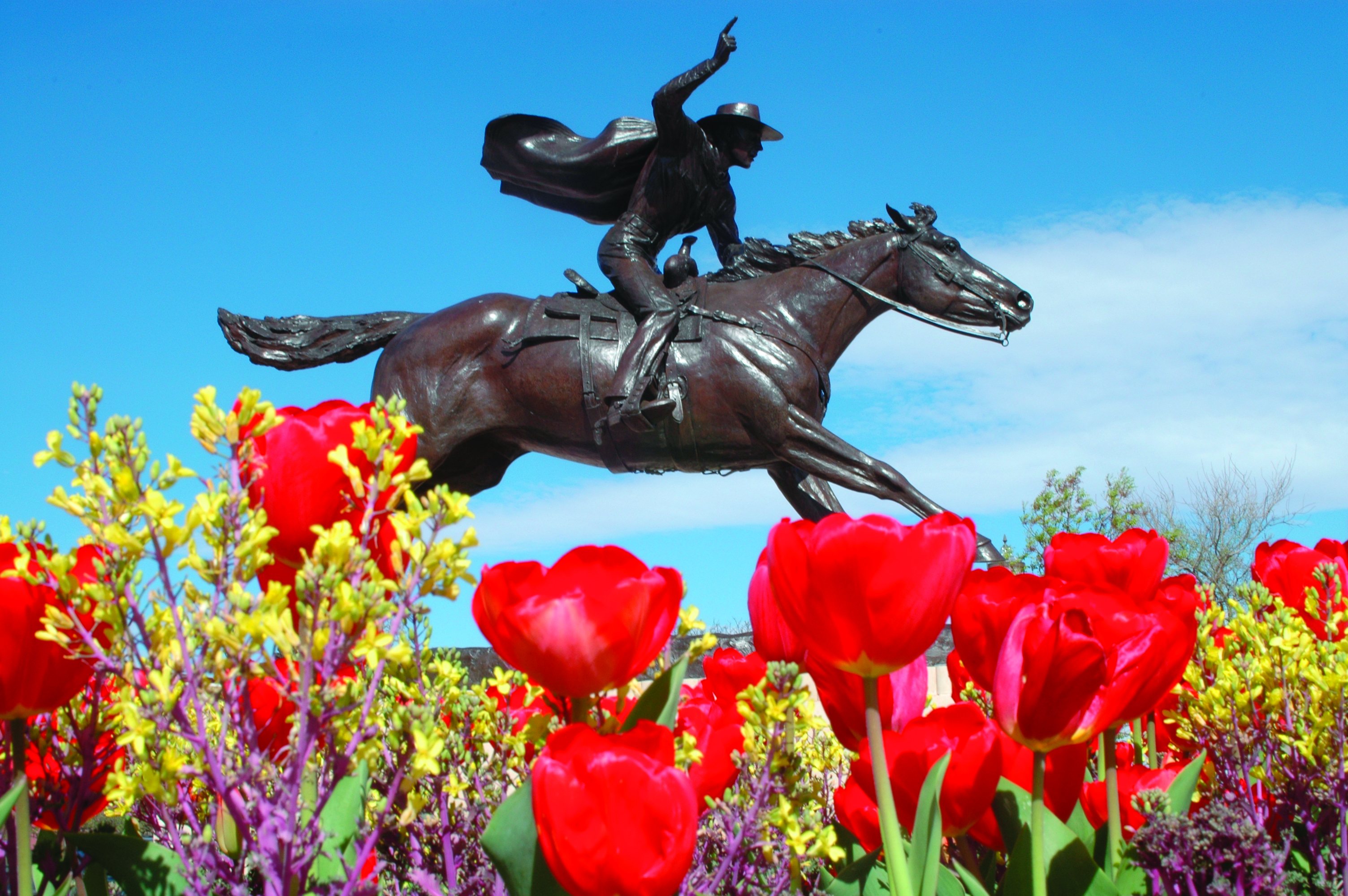 Record-holding artists using butter to sculpt Tech horse, Masked Rider