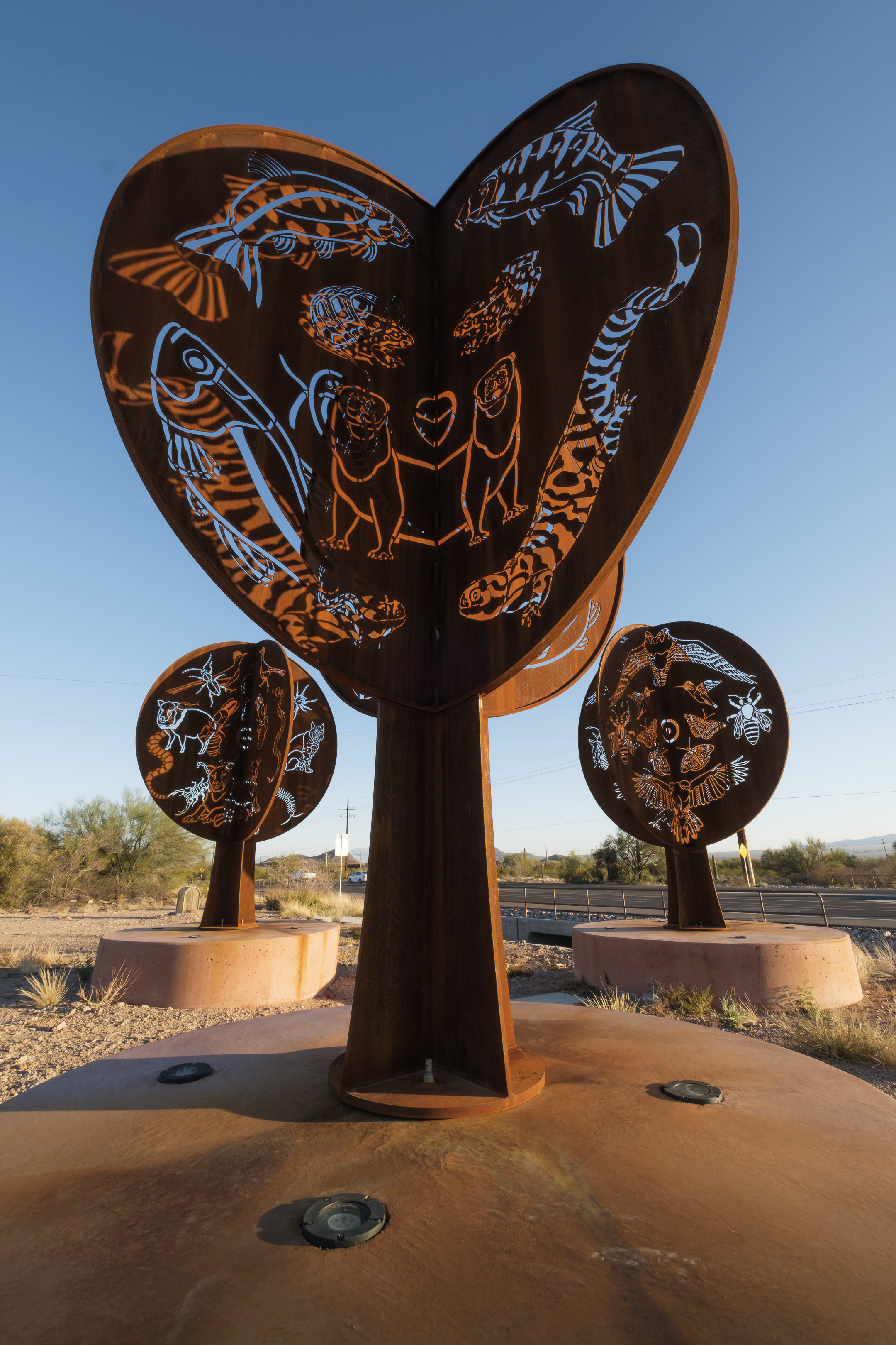 Sonoran Circumvolution in Tucson, AZ
