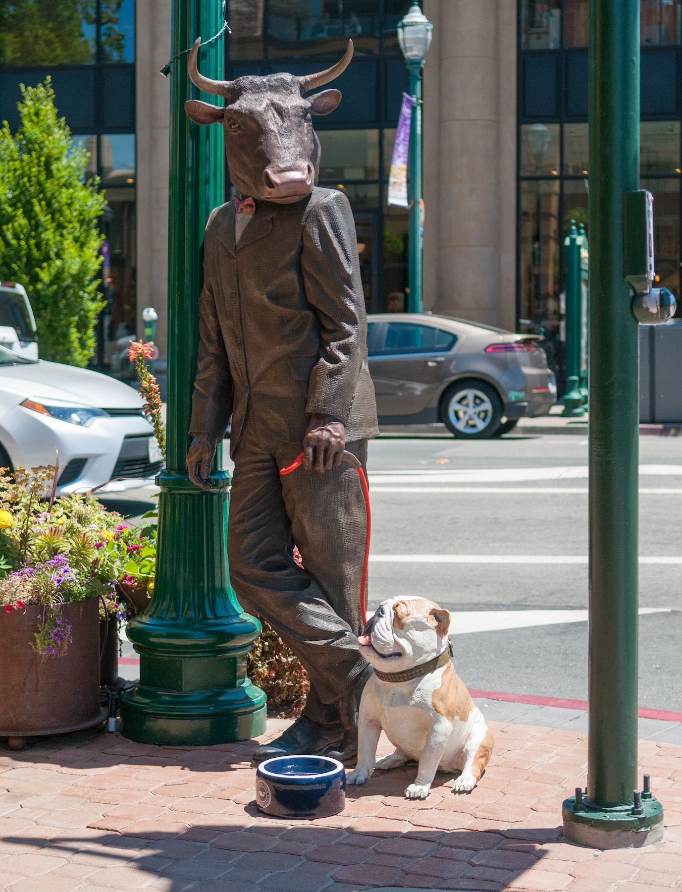 Bullman with Bulldog in Walnut Creek, CA