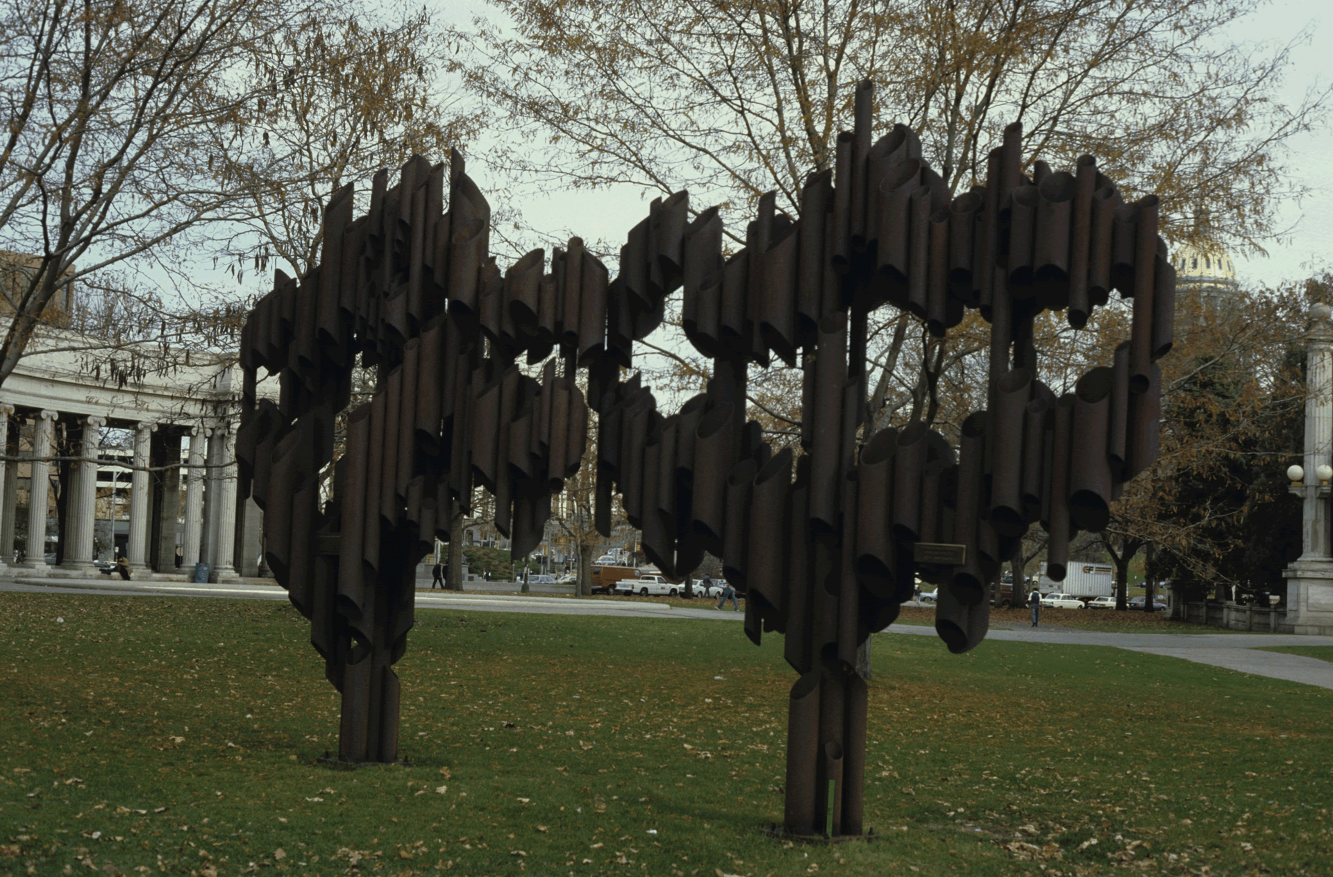 Untitled (Trees) in Denver, CO