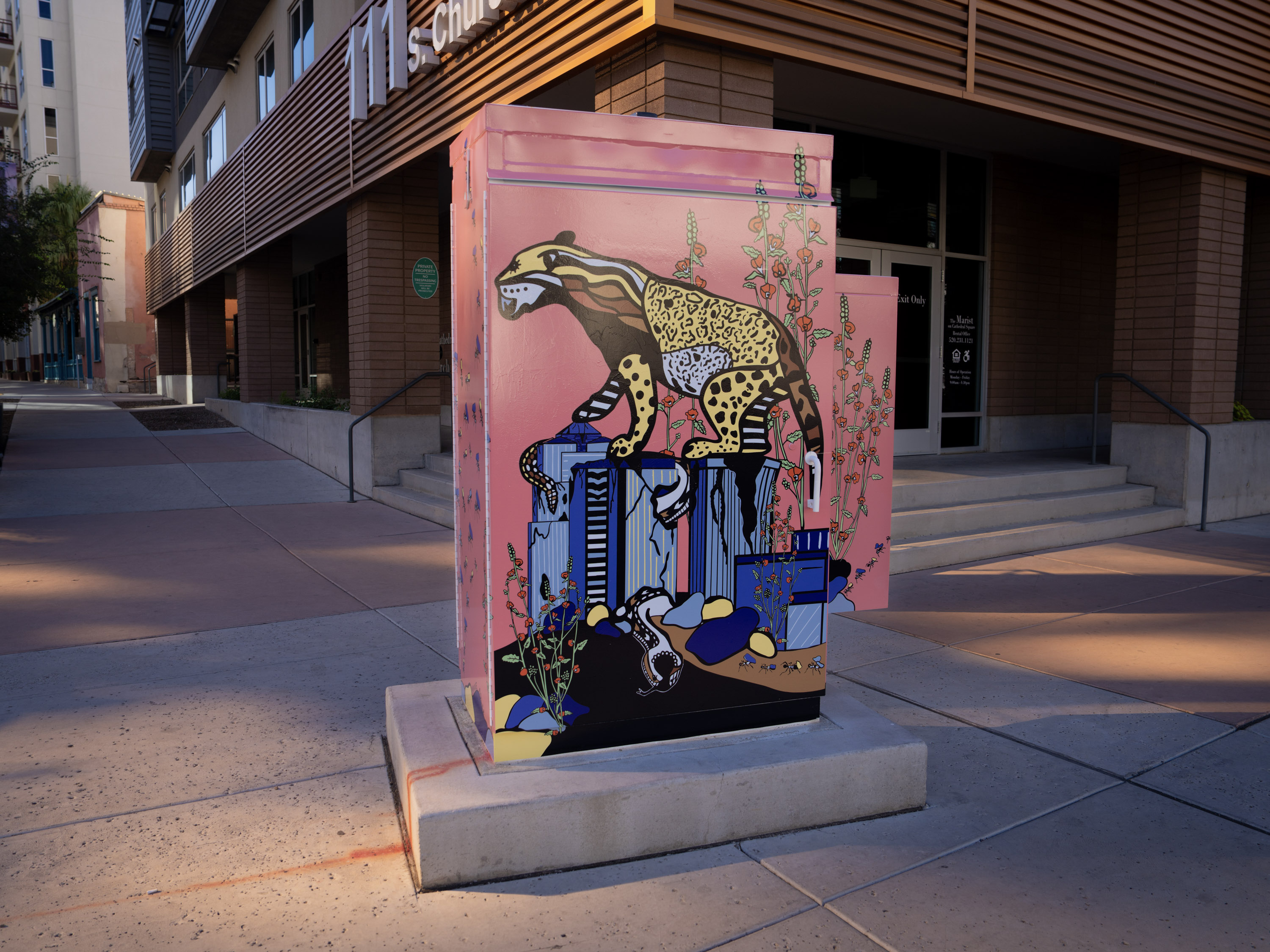 That's A Wrap Utility Box Art: Maxie Adler in Tucson, AZ