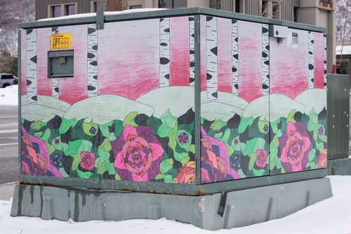 Utility Boxes Bring Art to the Streets – Issaquah Highlands