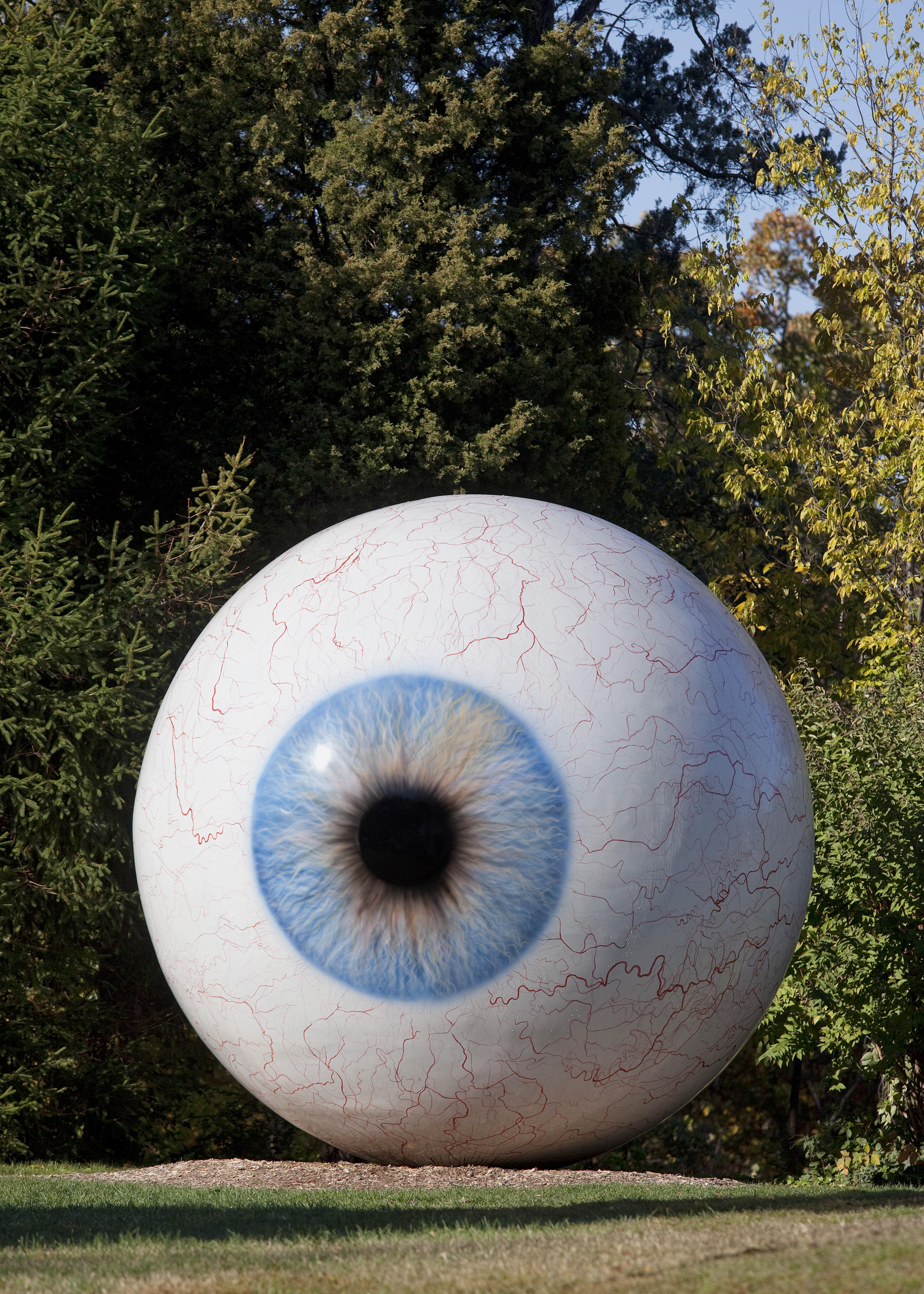 Eye in Saint Louis, MO