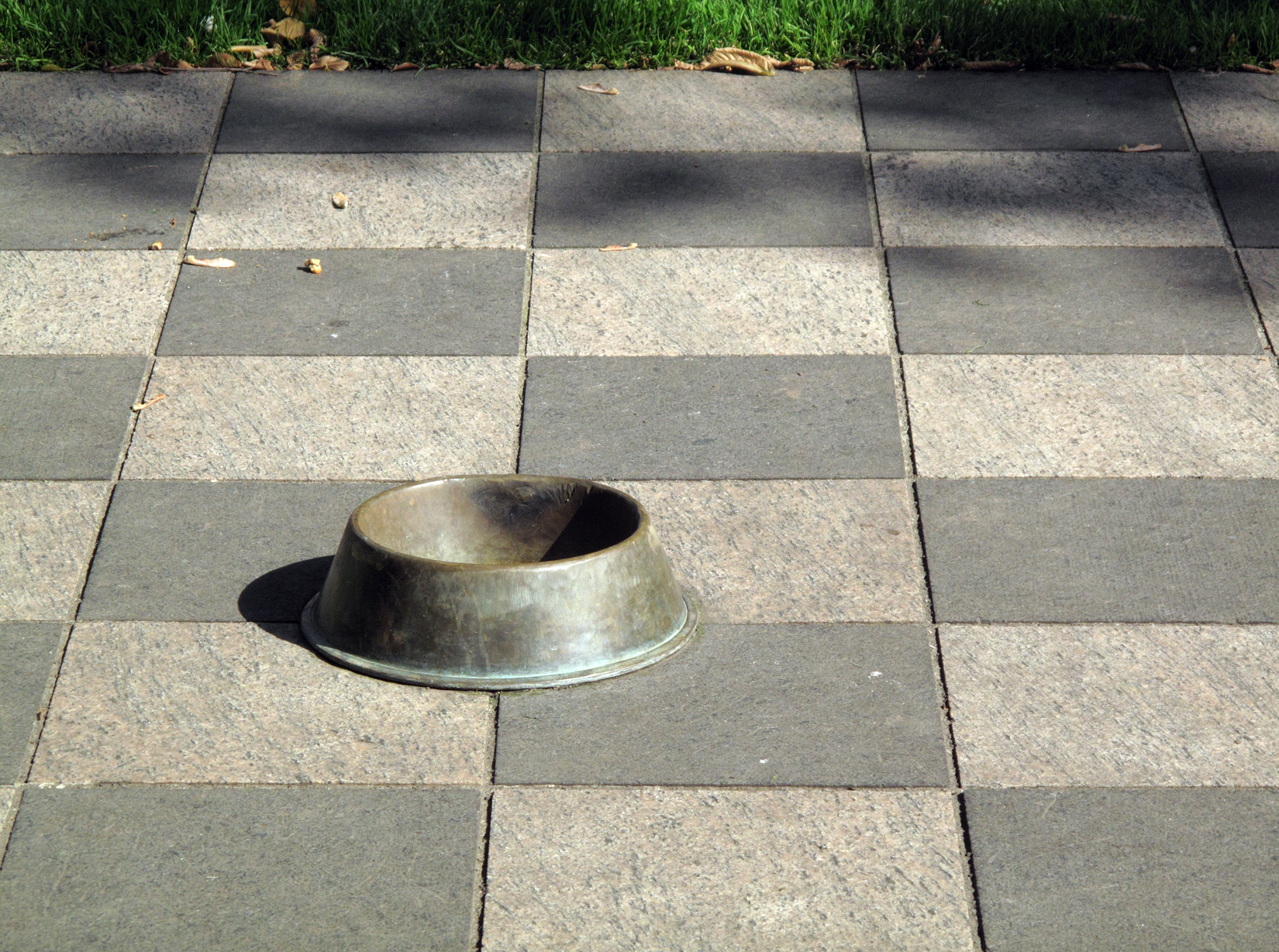 Dog Bowl in Portland, OR