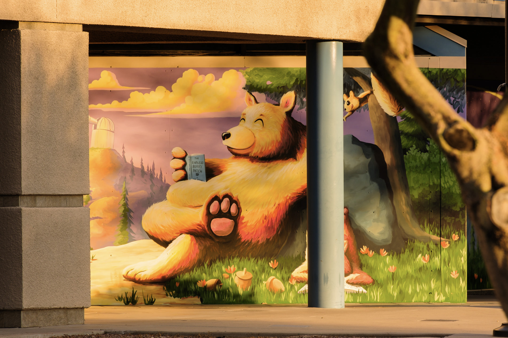 Bear Kirk Library Mural in Tucson, AZ