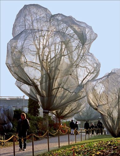 Wrapped Trees in Basel, Riehen