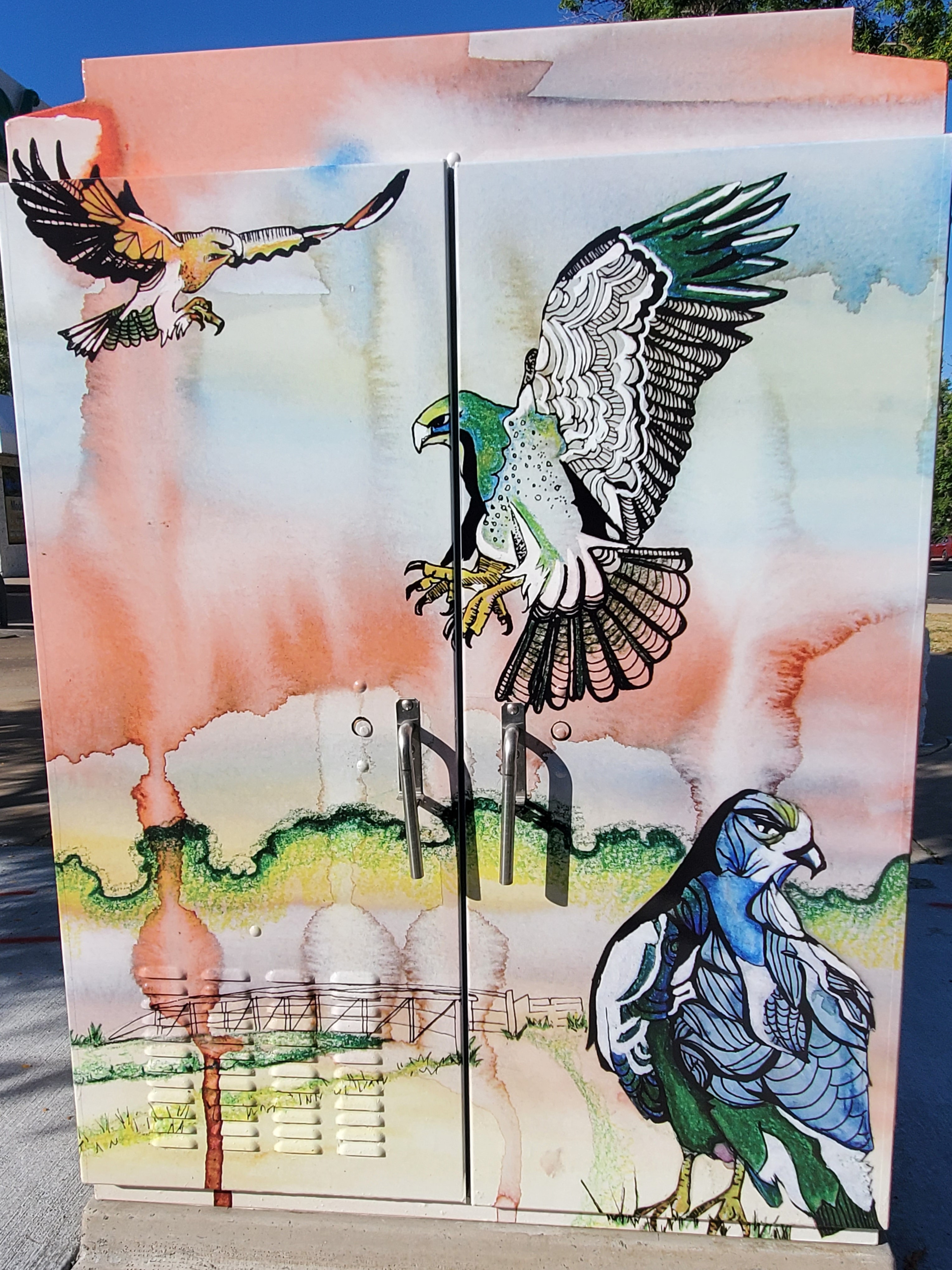 Local Raptors in Greeley, CO