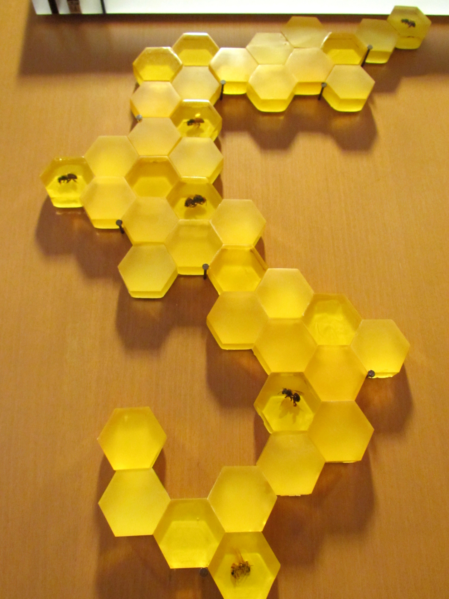 Wall Art / Bee Decor - Honeycomb Be Kind With Resin