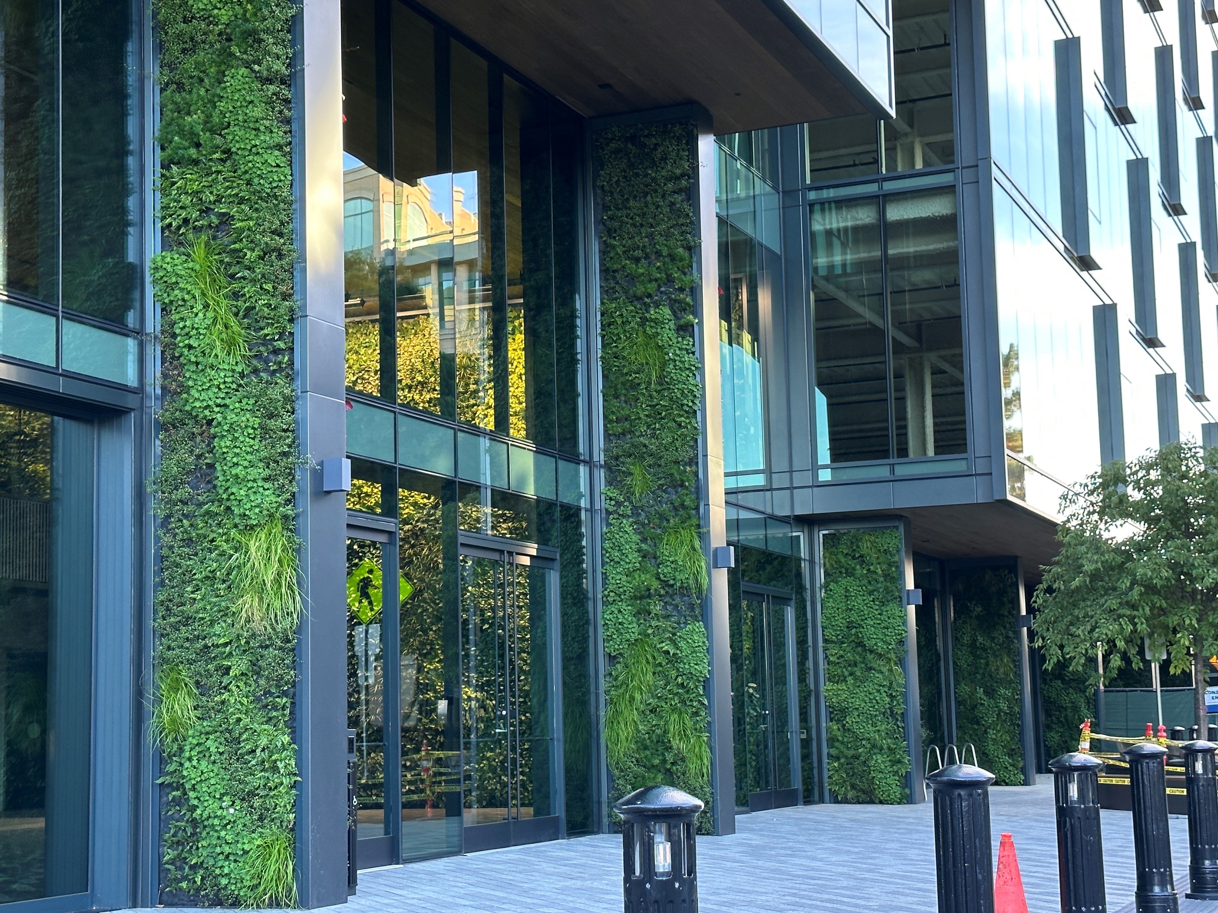 Growth for Tomorrow in Sunnyvale, CA