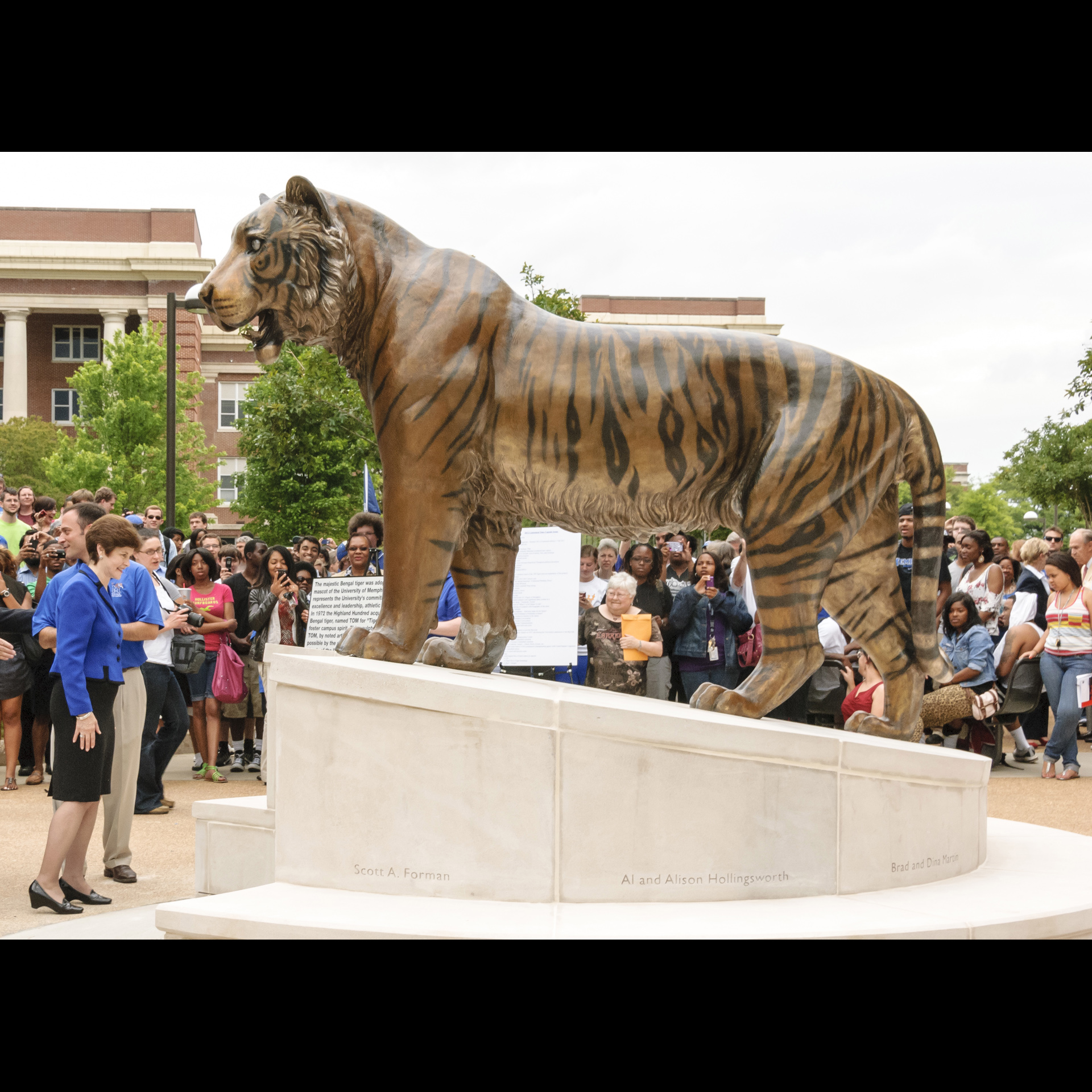 TOM III, Famed Bengal Tiger Mascot of the University of Memphis