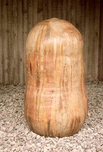 Ka Hua (The Egg) in Honolulu, HI