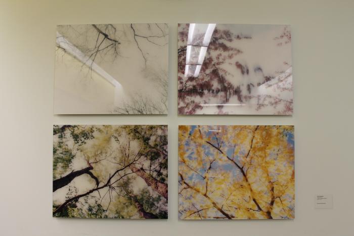 Roger Kotoske's Untitled