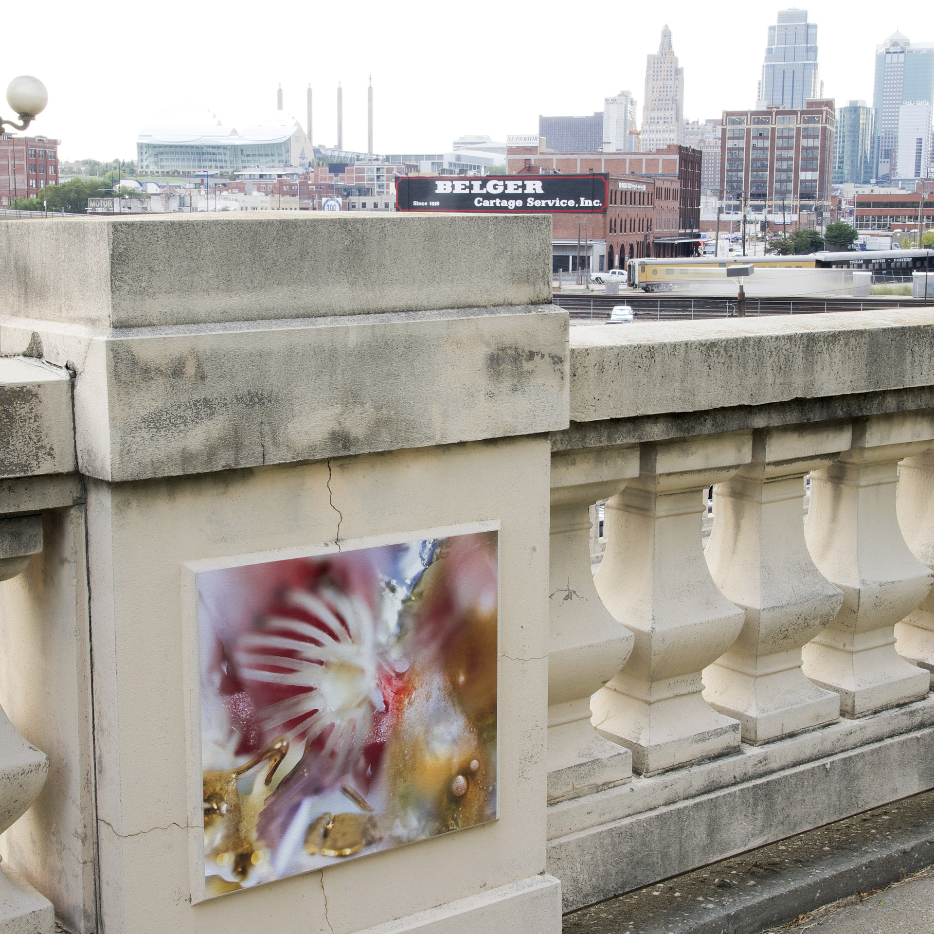 The Flowering Wall in Kansas City, MO