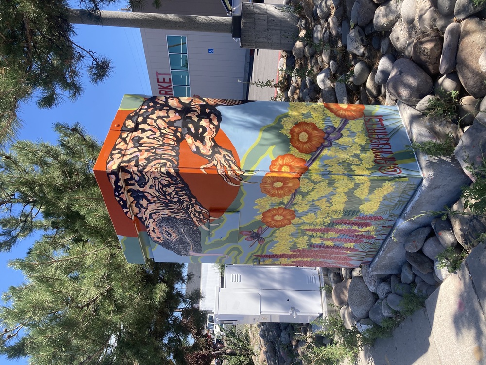 Amaya Rodriguez Keir Signal Box in Reno, NV