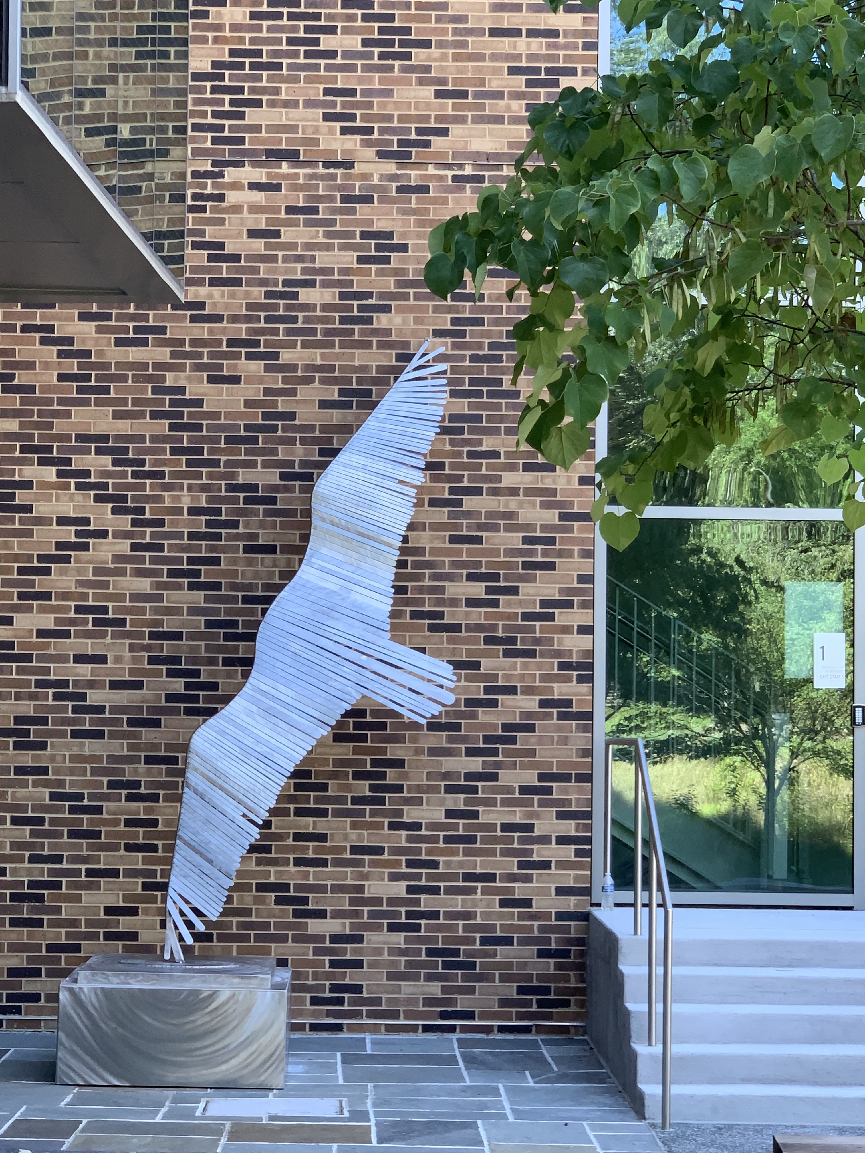 Ground Effect in Durham, NC
