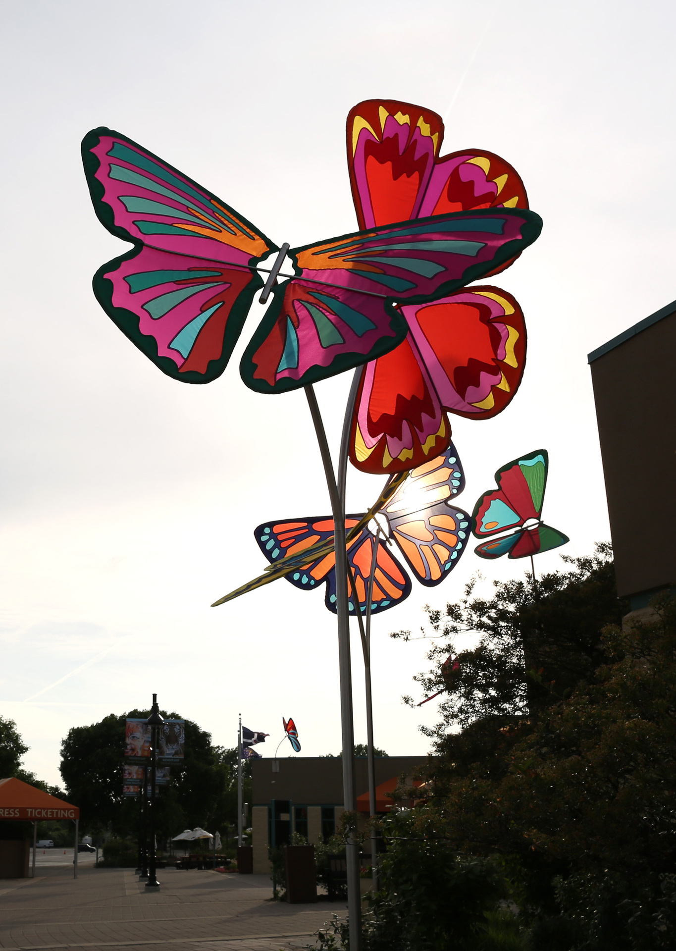 White River Gardens Butterfly in Indianapolis, IN