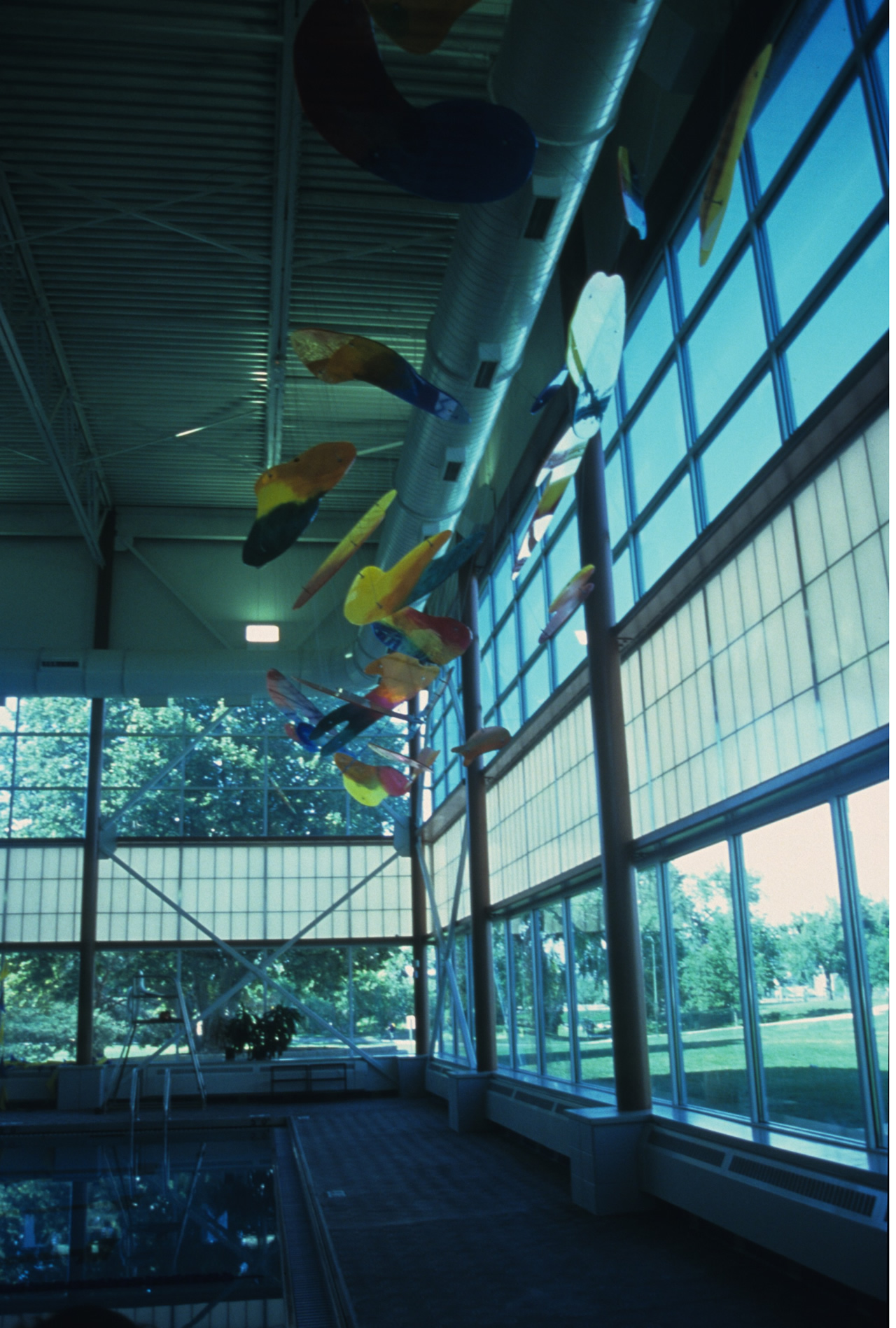 Roger Kotoske's Untitled