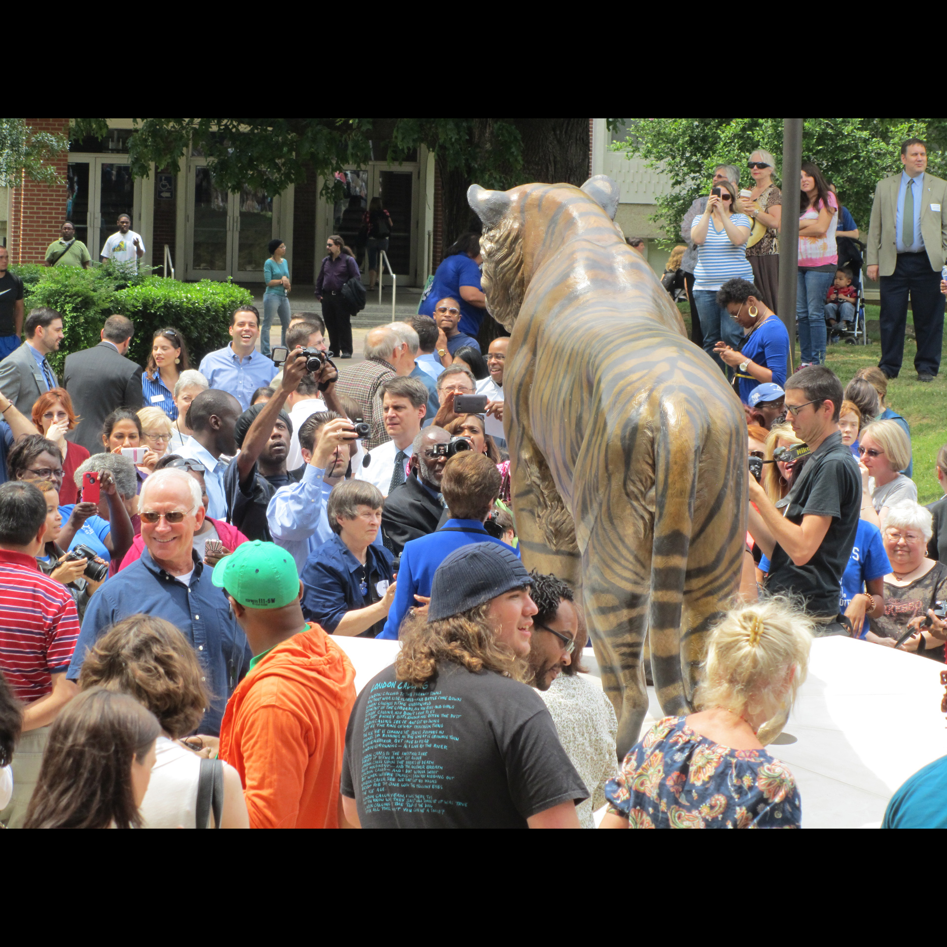 University of Memphis Tiger in Memphis, TN