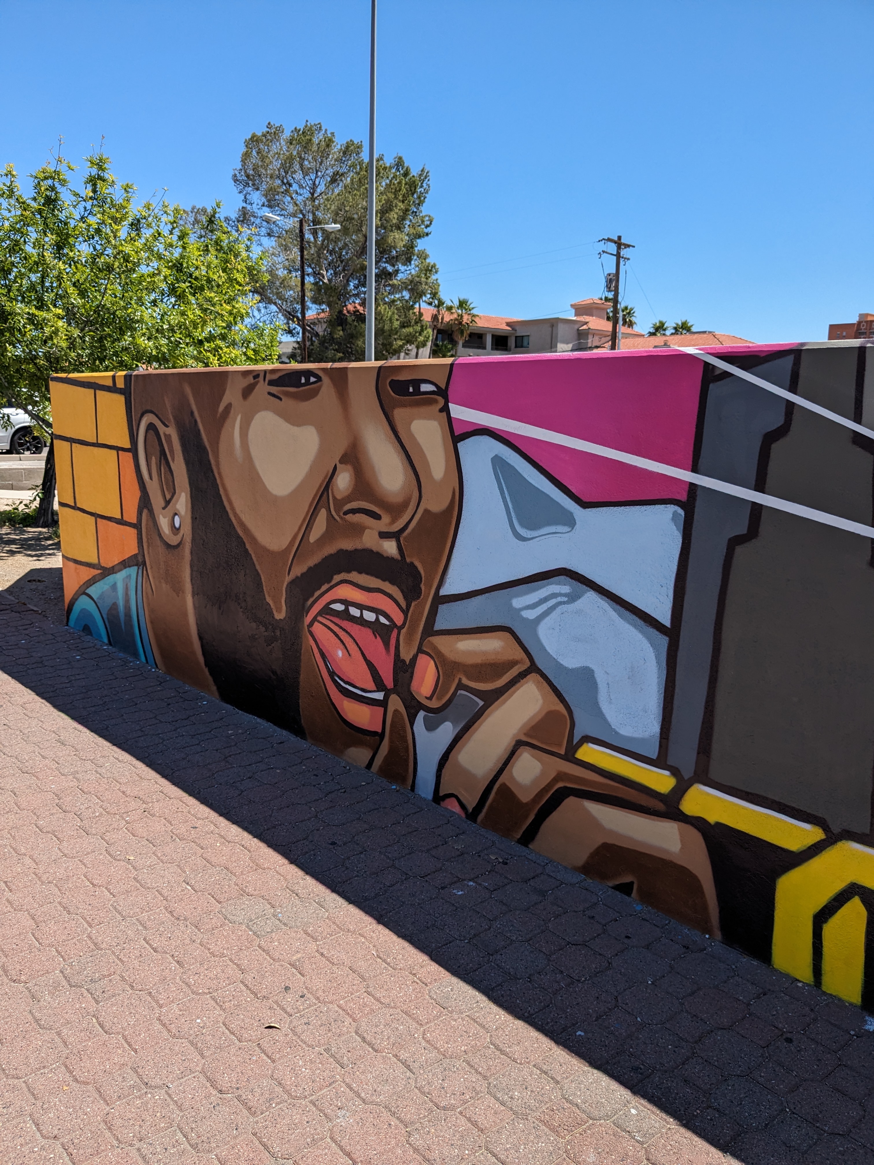 Speedway Corridor Project: Alex Fass in Tucson, AZ