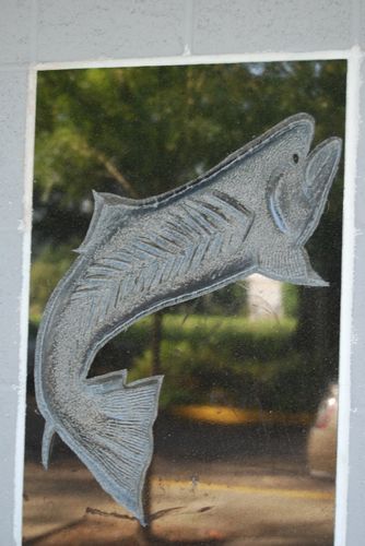 Metal Steelhead Fishing Art, Wall Art, Native Trout Art, Steelhead