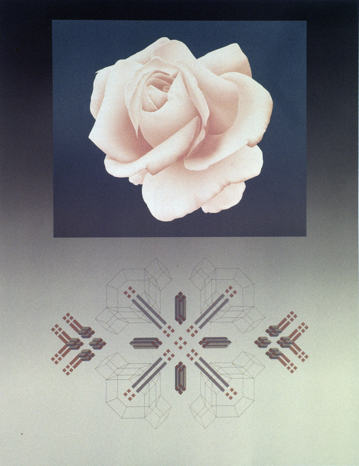 Rose Matrix IX in Salem, OR
