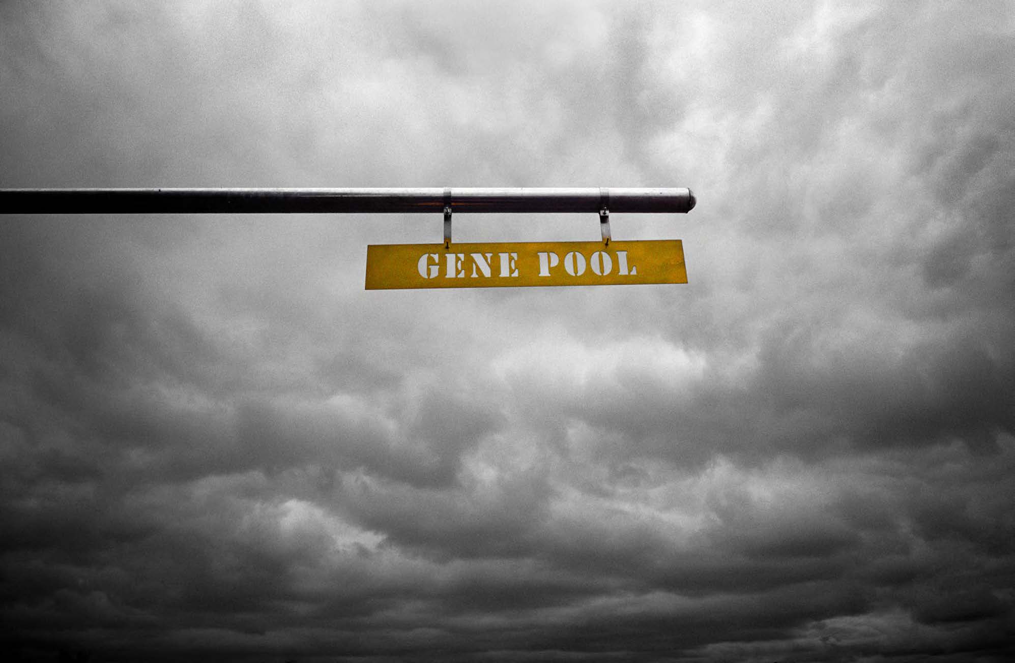 Gene Pool in Eugene, OR