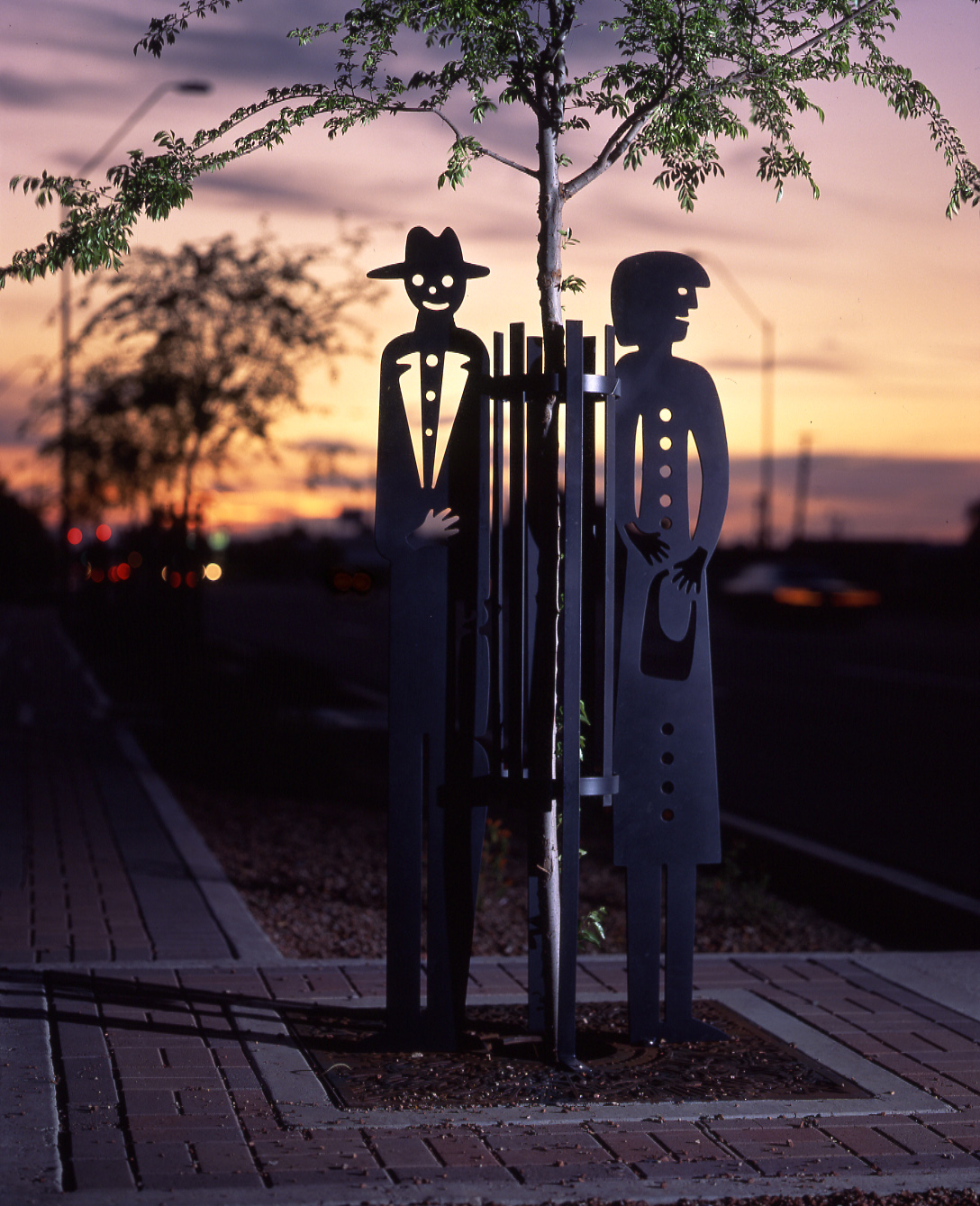 Dunlap Avenue Tree Guards in Phoenix, AZ