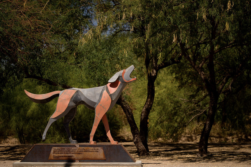 Thrive 05: Coyote and Jackrabbit in Tucson, AZ