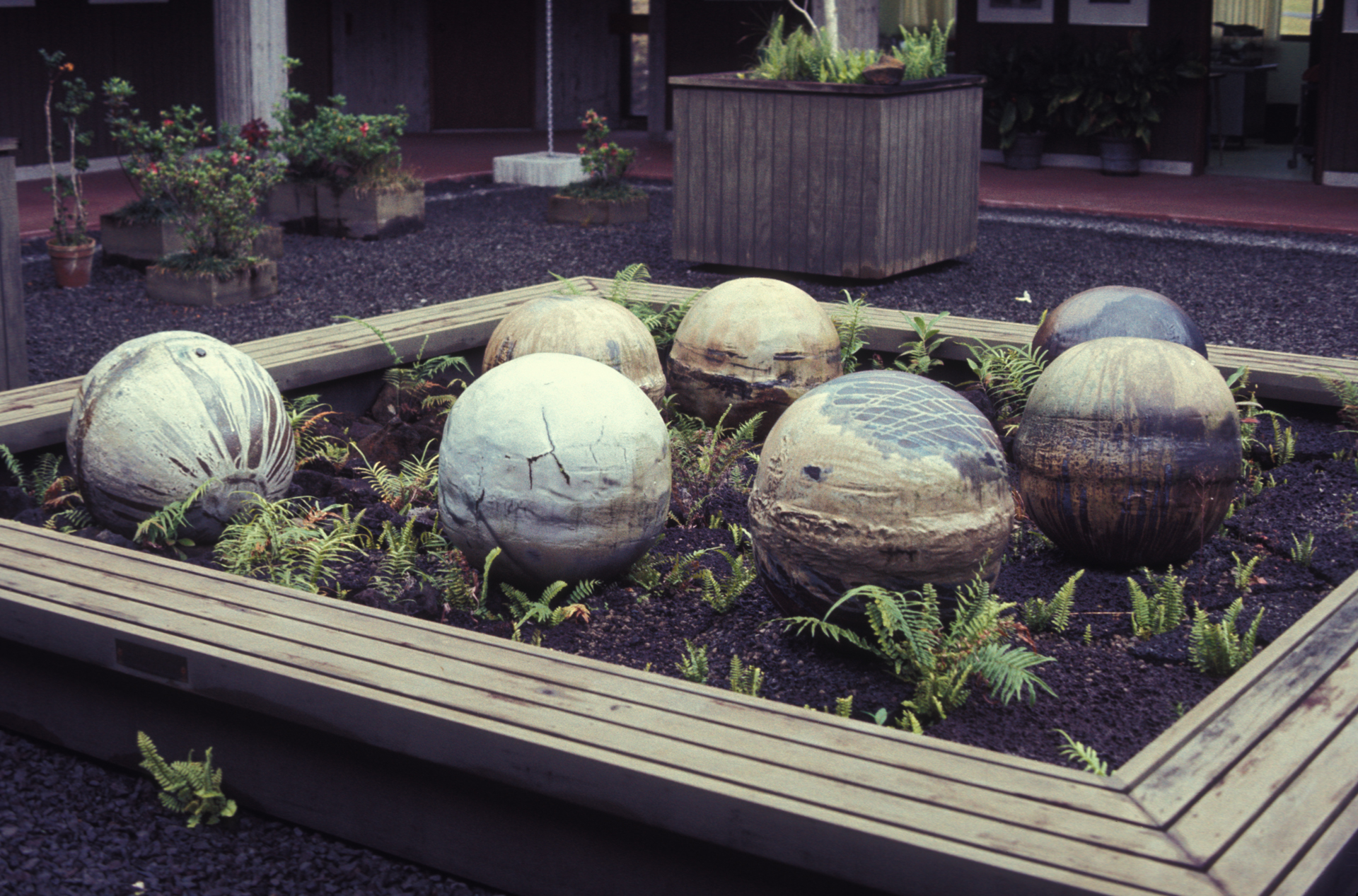 Moon Pots in Hilo, HI