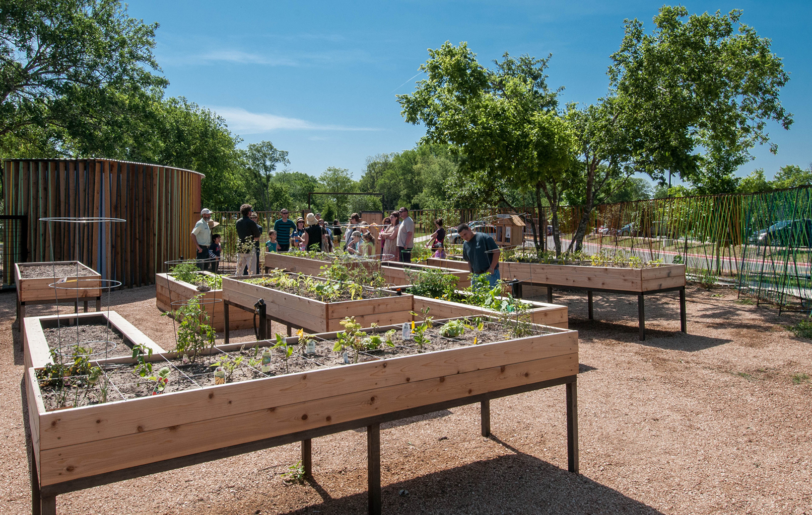North Austin Community Garden in Austin, TX, image size:1612x1024