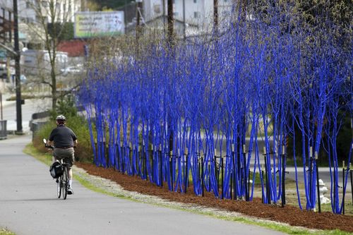 The Blue Trees in Kenmore, WA