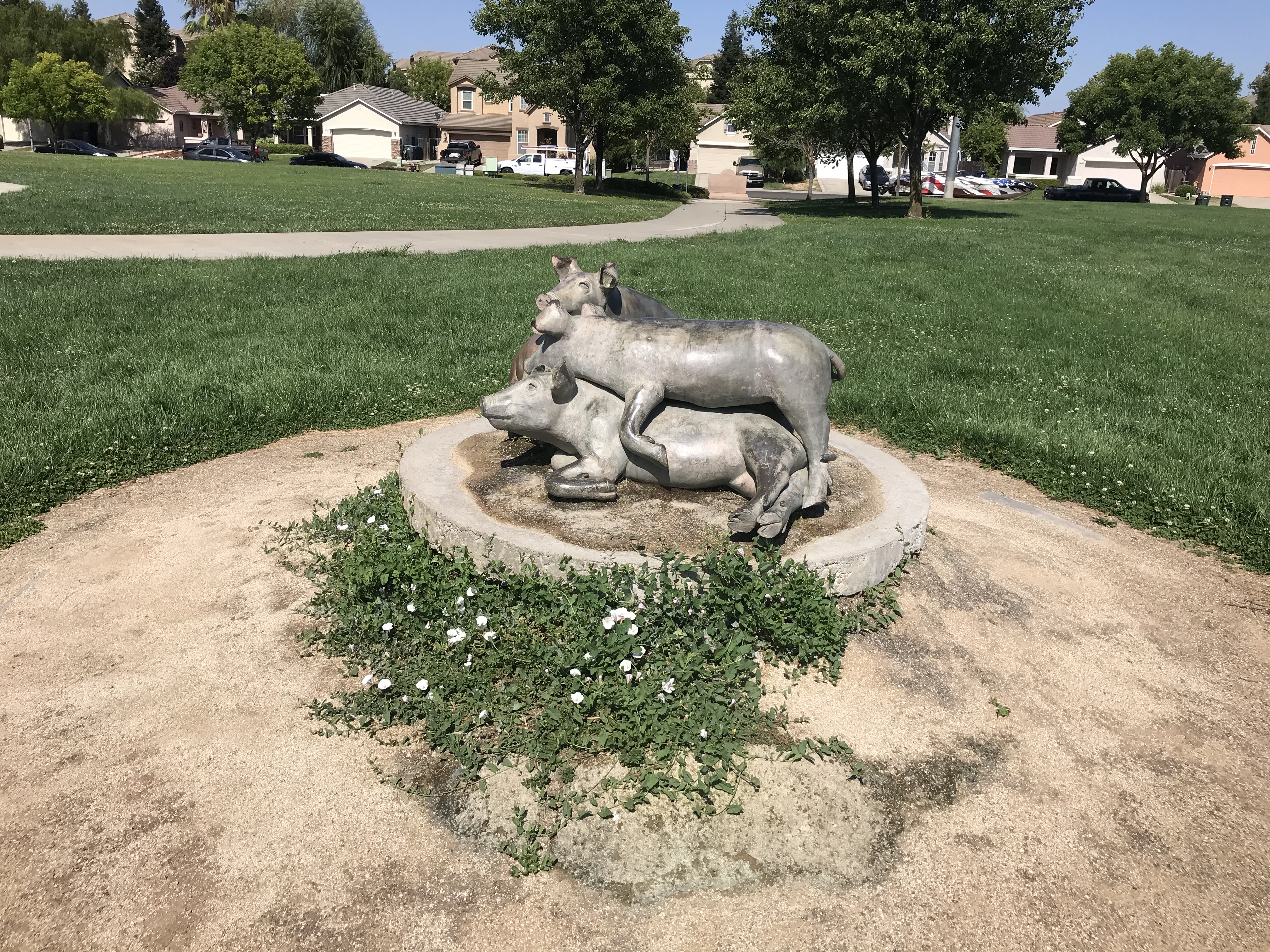 One of These Things is Not Like the Other in Sacramento, CA