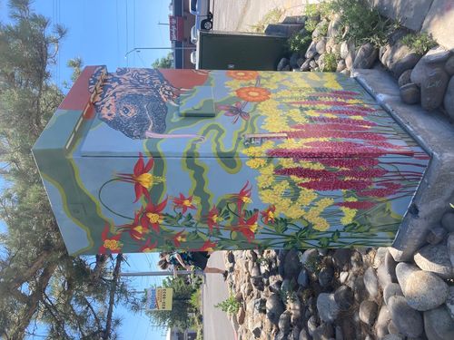 Amaya Rodriguez Keir Signal Box in Reno, NV