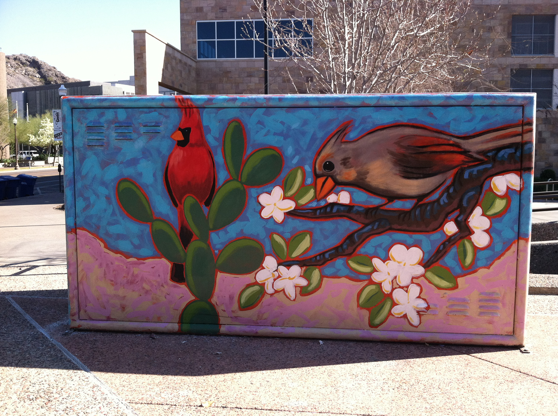 Don Will Bird Bike Locker Tempe: Ultimate Security for Cyclists