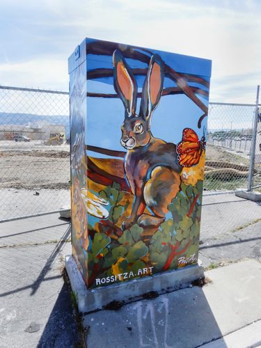 Rossitza Todorova Signal Box in Reno, NV