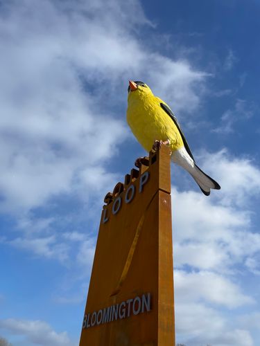 The Goldfinch in Bloomington, MN