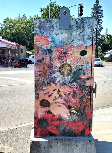 Utility Boxes Bring Art to the Streets – Issaquah Highlands