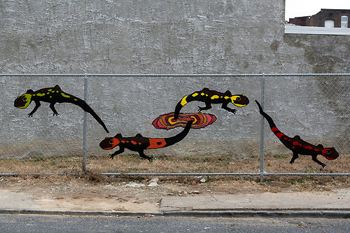 Temporary Crochet Work by Jessica Curtaz in Philadelphia, PA