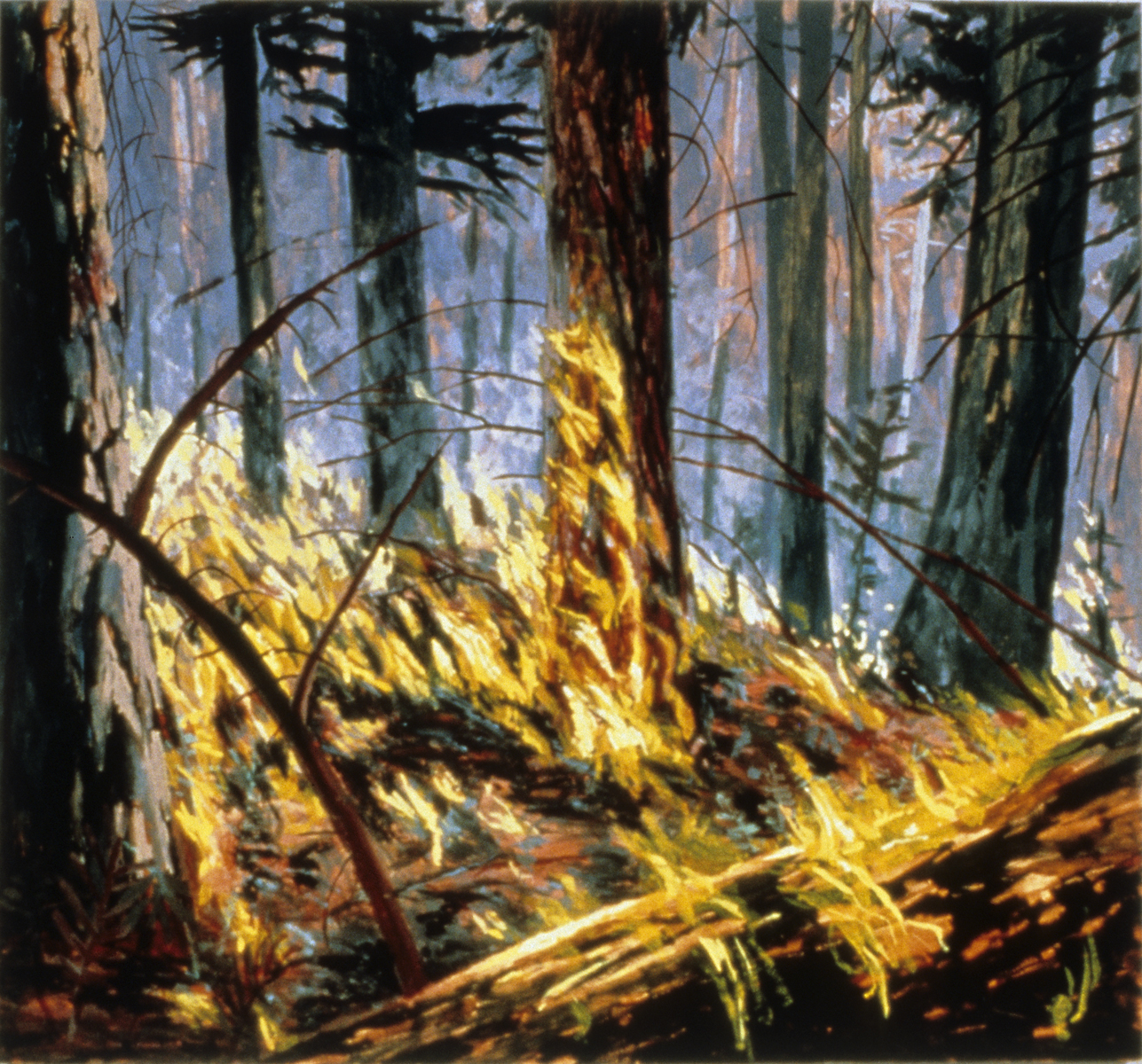 絵画  PARTY FIRE Fire in Corvallis, OR