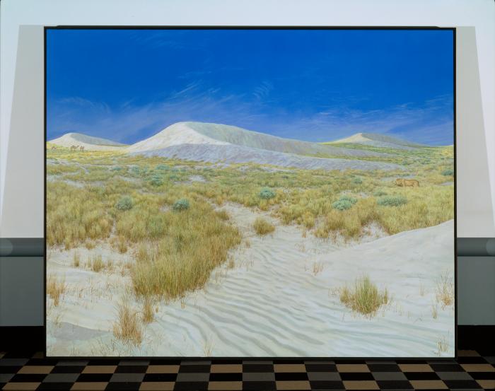 Roger Kotoske's Untitled